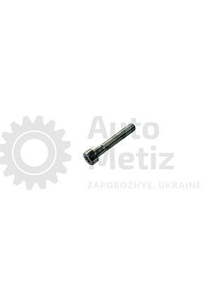 Болт (м5x30) з внутрішнім шестигранником (повна різь) (клас міцності 8.8)