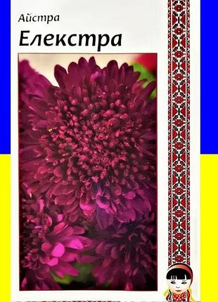 Насіння айстри елекстра