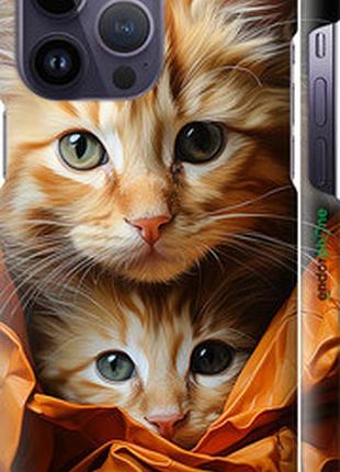 Чехол на iphone 14 pro max котики 2 "5664m-2667-2448"