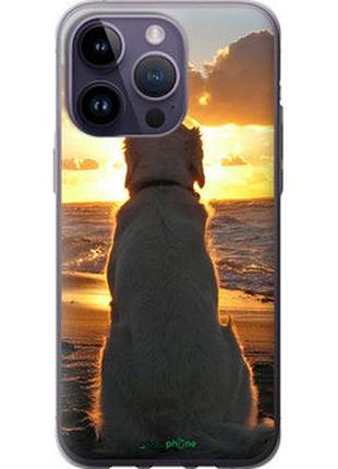 Чехол на iphone 14 pro max закат и собака "3966u-2667-2448"