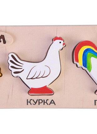 Набор рамка-вкладыш hega куры