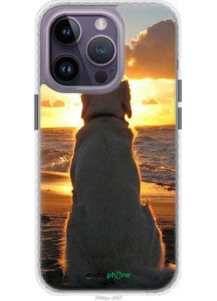Чехол на iphone 14 pro max закат и собака "3966pc-2667-2448"