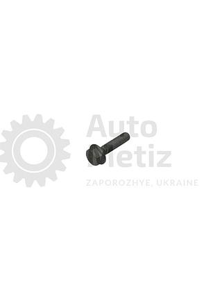 Болт (м6х1x25) с шестигранной головкой и фланцем ключ 10 (класс прочности 10.9) (платковый)