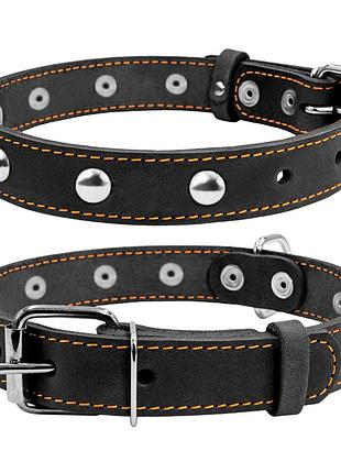 Ошейник collar одинарный с украшениями (ш 25мм, д 38-50см), черный