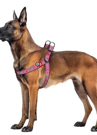 Шлей для собак waudog nylon з qr паспортом малюнок "єдинороги" пластиковий фастекс xl ш 35 мм а=в 70-100 см