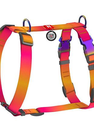 Шлея для собак анатомическая h-образная waudog nylon recycled с qr-паспортом, градиент, м, ш 20 мм, a 40-70, b 47-65 оранжевый
