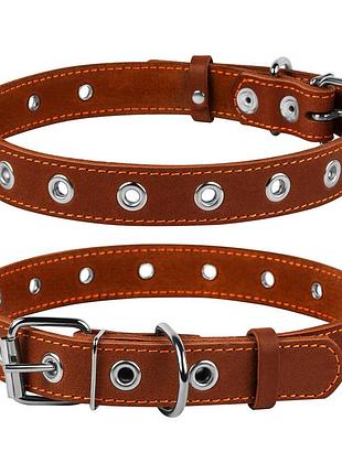 Ошейник collar безразмерный (ш 25мм, д 60см), коричневый