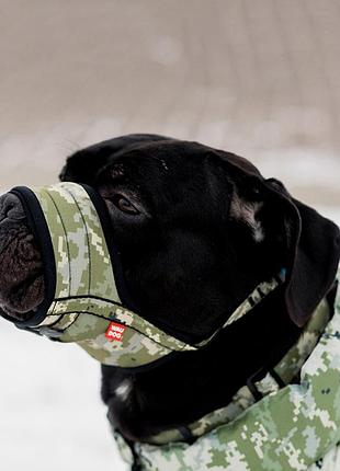 Намордник для собак waudog nylon, малюнок "мілітарі", пластиковий фастекс, розмір xl, обхват морди 35-43 см