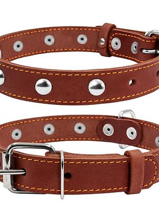Нашийник collar одинарний з прикрасами (ш 20мм, д 32-40см), коричневий