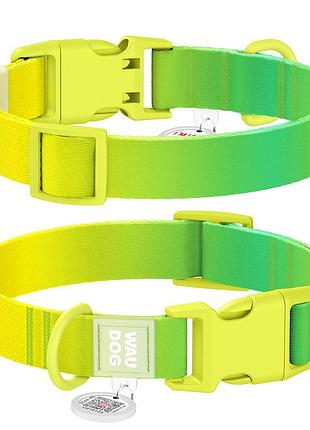 Нашийник для собак нейлоновий waudog nylon recycled c qr паспортом, градієнт, пластиковий фастекс, xl, ш 25 мм, дл 37-58 см,