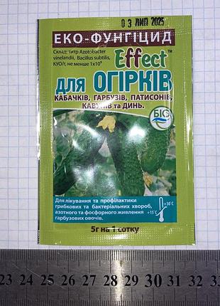 Биофунгицид от бактериальных и грибковых заболеваний для огурцов 5г effect