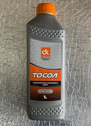 Тосол дорожня карта (-24) 1кг 4802617328