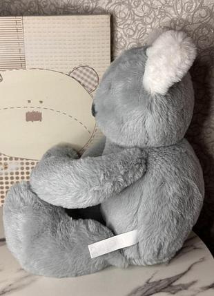 🐨 мила коала 💛 2