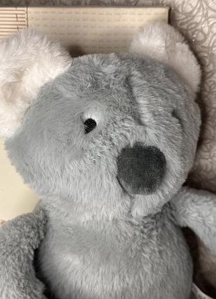🐨 мила коала 💛 5