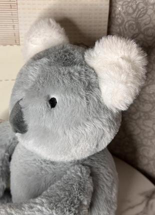 🐨 мила коала 💛 7