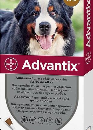 Адвантикс bayer advantix капли для собак весом более 40-60 кг 4 пипетки