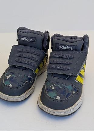 кроссовки adidas hoops mid (оригинал) - размер 25