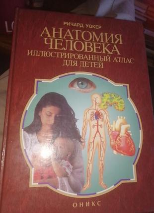 Анатоя человека. ричард уокер. иллюстрированный атлас для детей. 1997 г.