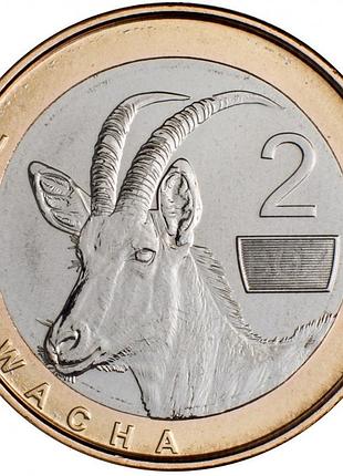 Замбія 2 квачі, 2024 біметал, 7.5g, ø 24.5mm №3507
