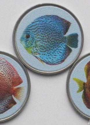 Монеты таипа 2 патака 2020 рыбки дискусы 3 монеты