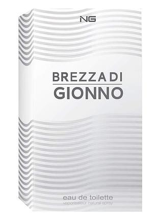 Туалетная вода ng perfumes brezza di giorno for men 100 ml
