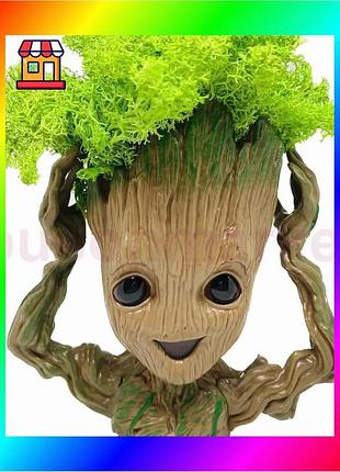 Bs кашпо горшочек со best mix стабилизированным мхом грут groot g4 bas77/n