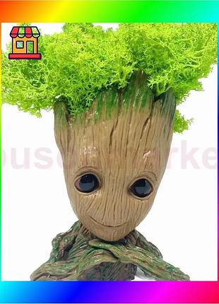 Bs кашпо горшочек со best mix стабилизированным мхом грут groot g3 bas77/n