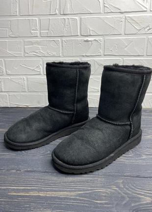 Женские сапожки ugg угги2 фото