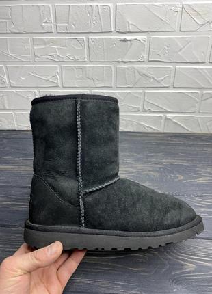 Женские сапожки ugg угги