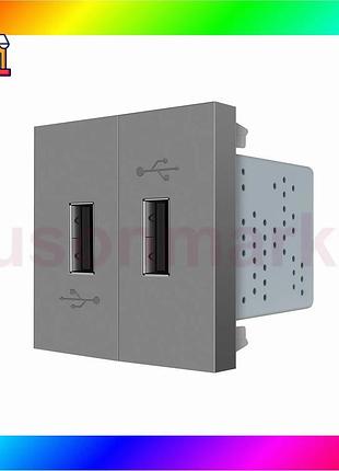 Bs двойная розетка usb best mix livolo серая, с блоком питания 2×usb-a 5v/2.1a, 2×10вт, модуль (vl-fcu bas77/n