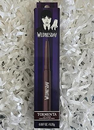 Олівець для губ коричневий wednesday