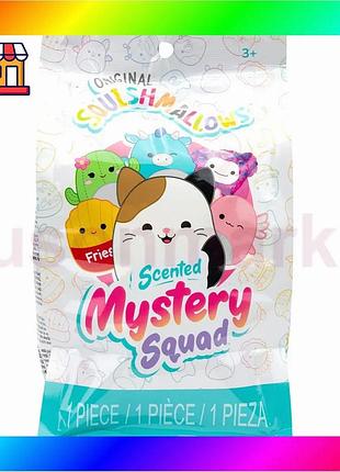 Bs м'яка іграшка-сюрприз squishmallows best mix – веселі фруктики (13 cм) bas77/n