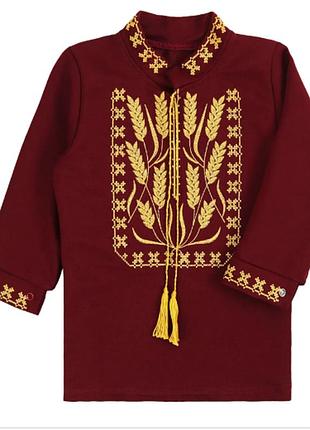 Вишиванка для хлопчика бордова колоски 116