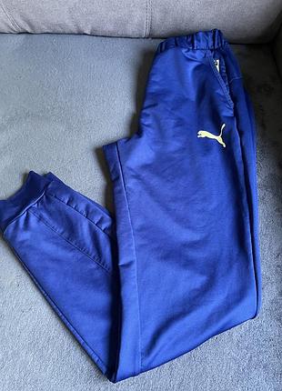Спортивные штаны puma