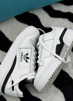 Кросівки adidas forum bold