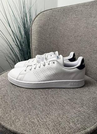 Adidas advantage 5