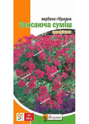 Вербена гибридная свисающая смесь (20 пачек) 0.1г тм яскрава