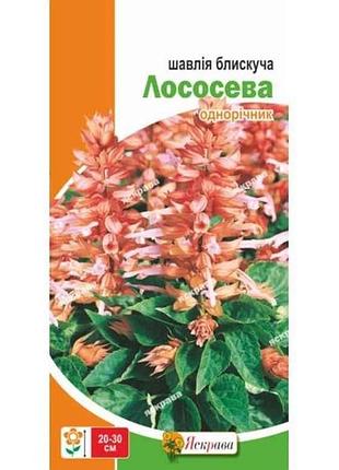 Шалфей низкий блестящий лососевый (20 пачек) 0.1г тм яскрава