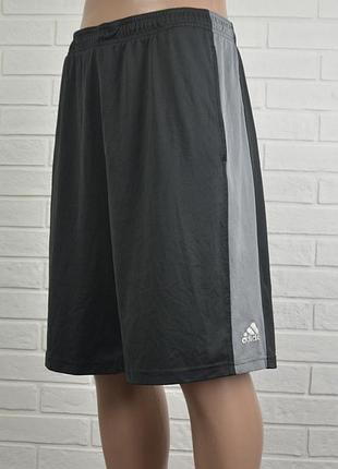 Мужские шорты adidas (l)
