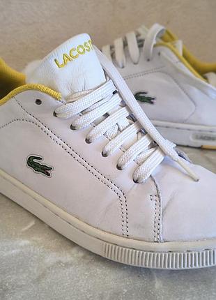 Кроссовки lacoste оригинал