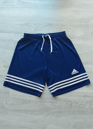 Оригинальные спортивные шорты adidas размер s
