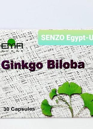 Ginkgo biloba brain power 30 cap єгипет 🌴