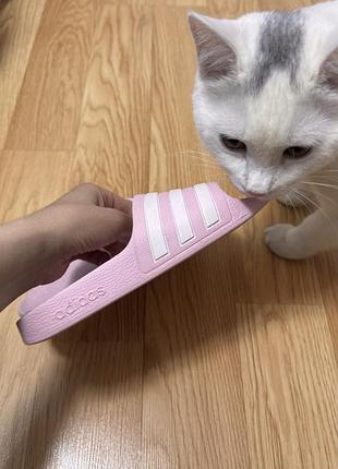 Шльопки adidas 3