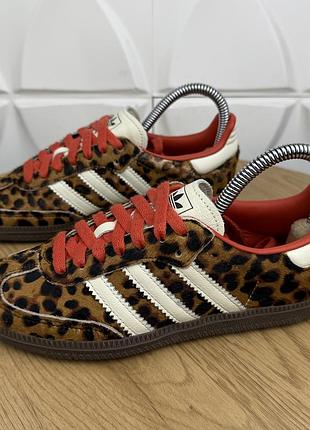 Оригінальні кросівки adidas originals samba og із леопардовим