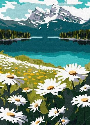Картина за номерами - квітучі ромашки ©art_selena_ua