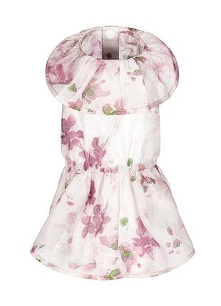 Сукня pet fashion amelia для собак s