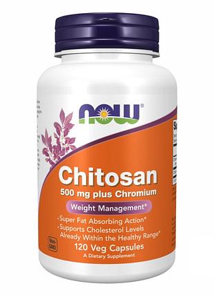 Chitosan - 120caps