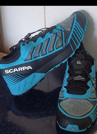 Кросівки scarpa.
