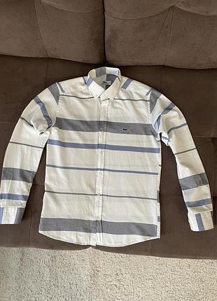Сорочка чоловіча lacoste, розмір s