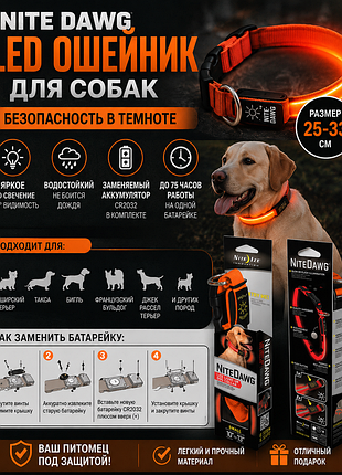 Led ошейник для собак nite dawg 🐕 светящийся | 25–33 см | водостойкий